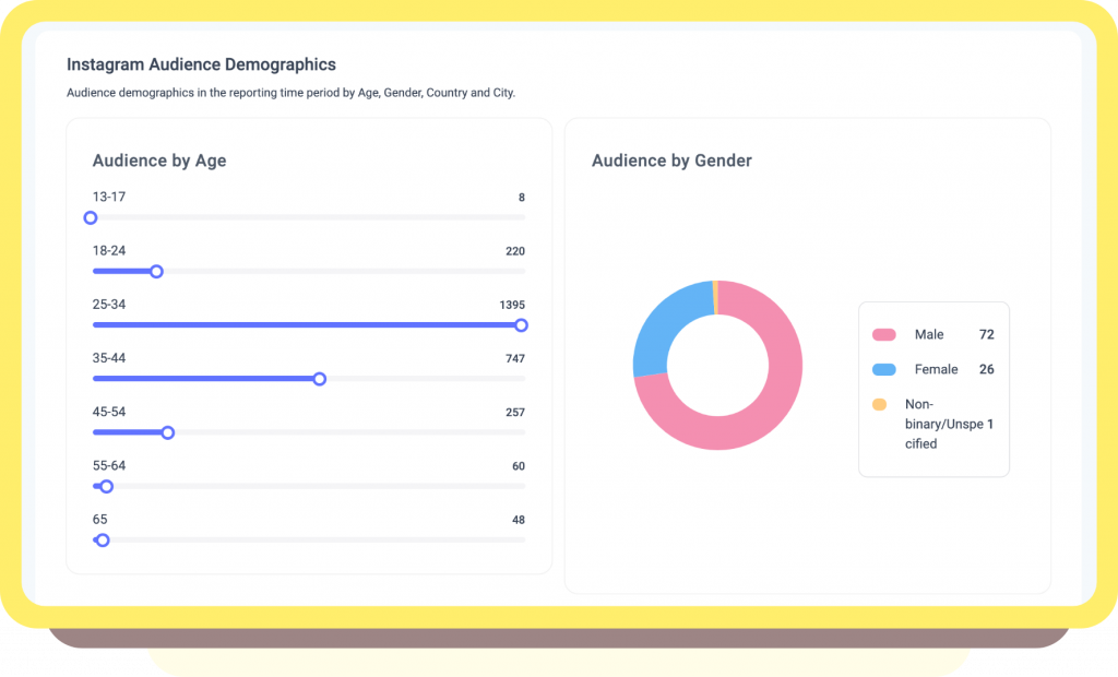 Instagram audience demographics