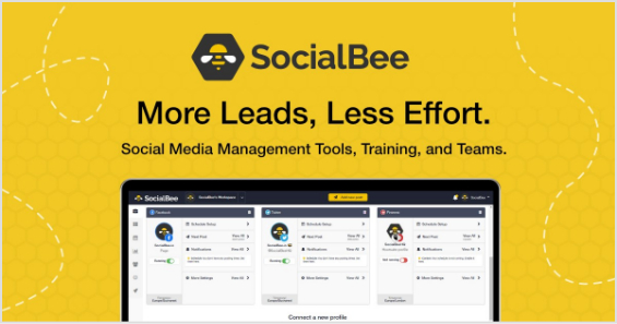 social bee