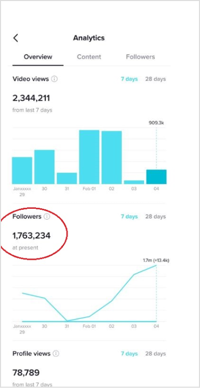 tiktok followers